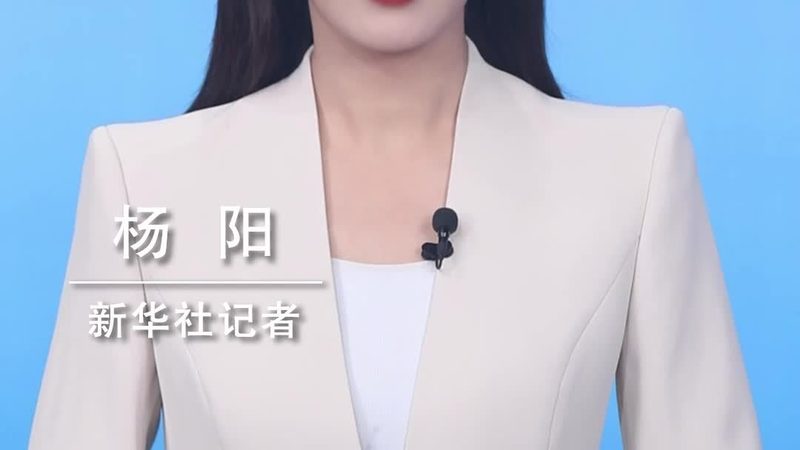 软件定制开发，报价与周期揭秘